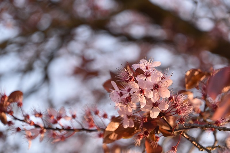 Argenton 36 photo vidéo