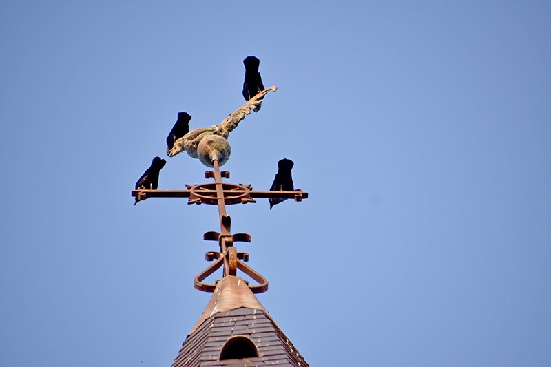 Argenton 36 photo vidéo