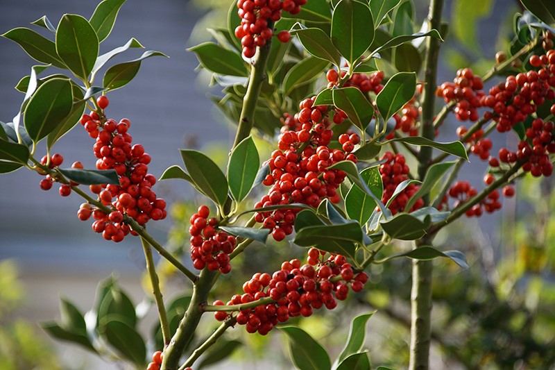 Argenton 36 photo vidéo