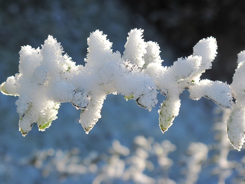 Argenton 36 photo vidéo