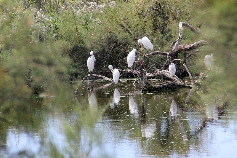 Argenton 36 photo vidéo