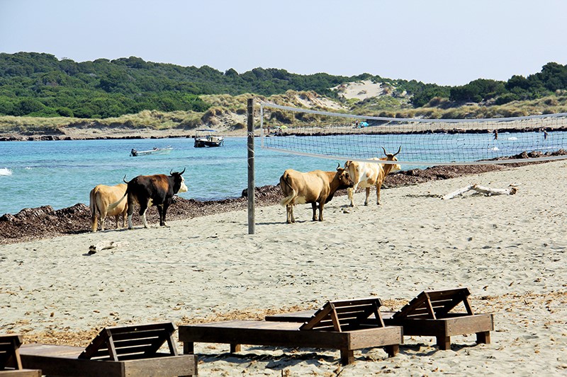 Argenton 36 photo vidéo