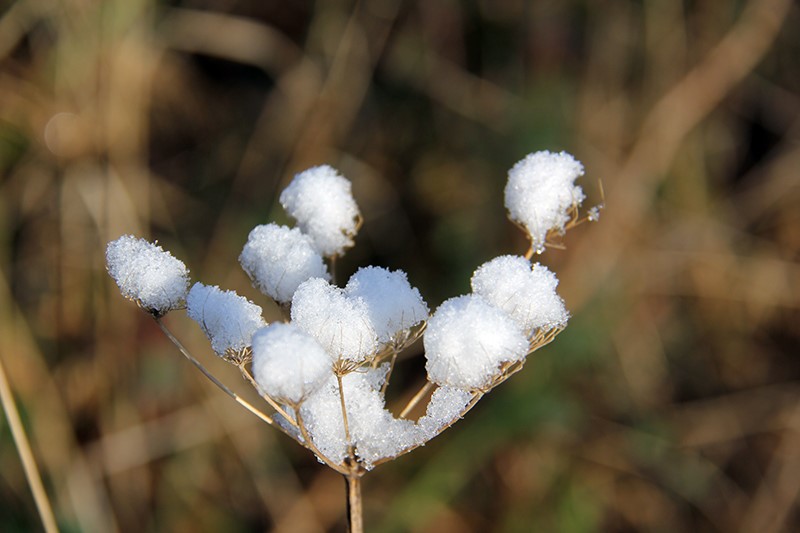 Argenton 36 photo vidéo