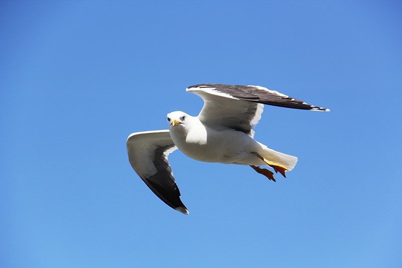 Argenton 36 photo vidéo